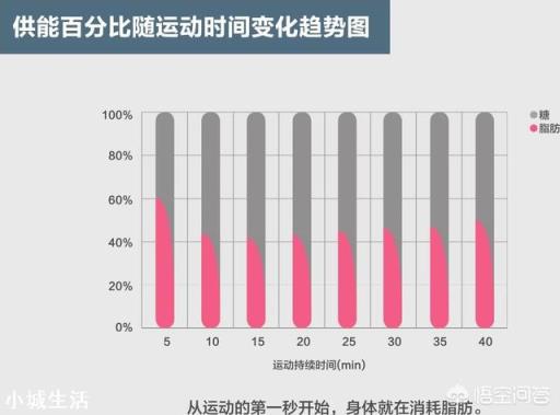 有氧運(yùn)動(dòng)多久開(kāi)始消耗脂肪，深度解析與科學(xué)建議，有氧運(yùn)動(dòng)開(kāi)始消耗脂肪的時(shí)間點(diǎn)解析，深度探討與科學(xué)建議