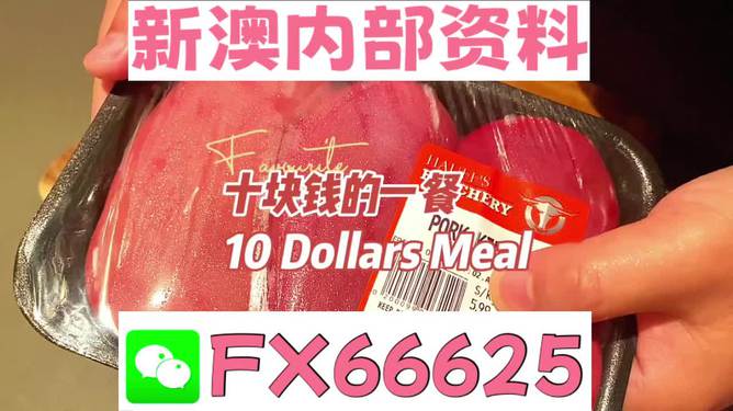 新澳全年免費(fèi)資料大全——探索與學(xué)習(xí)的不竭之源，新澳全年免費(fèi)資料大全，無盡的學(xué)習(xí)資源寶庫