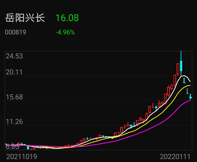 岳陽興長股吧最新消息全面解析，岳陽興長股吧最新消息全面解讀