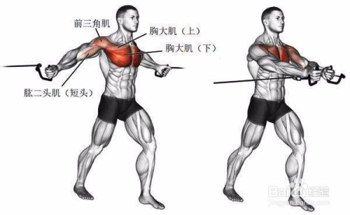 全方位鍛煉胸肌，打造堅(jiān)實(shí)肌肉線條的藝術(shù)，全方位鍛煉胸肌，塑造堅(jiān)實(shí)肌肉線條的藝術(shù)之道