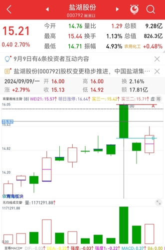 鹽湖股份東方財富股吧——探索企業(yè)潛力與價值，鹽湖股份東方財富股吧，深度解析企業(yè)潛力與價值