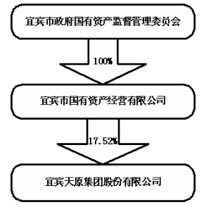 天原股份重組可能性分析，天原股份重組前景深度解析，可能性分析與展望