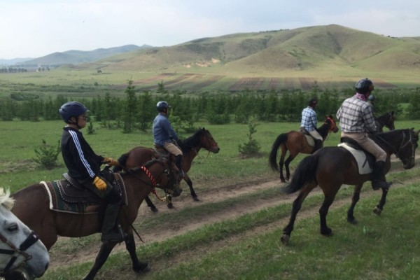 澳門特馬今晚開獎(jiǎng)，探索彩票背后的故事與期待，澳門特馬今晚開獎(jiǎng)，彩票背后的故事與期待揭秘