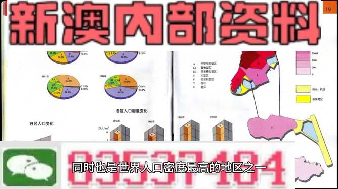 新澳門正版免費資料查詢指南，輕松掌握查詢技巧，澳門正版免費資料查詢指南，輕松掌握查詢技巧