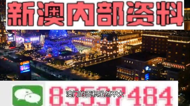 新澳門精準資料大全，龍門客棧與管家婆料解析，澳門精準資料大全，龍門客棧與管家婆料深度解析