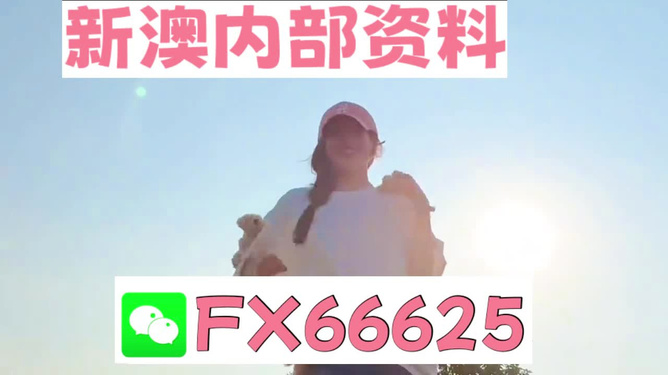 揭秘精準(zhǔn)免費(fèi)四肖，玩轉(zhuǎn)數(shù)字游戲7777788888的秘密，揭秘精準(zhǔn)免費(fèi)四肖與數(shù)字游戲7777788888的秘密攻略