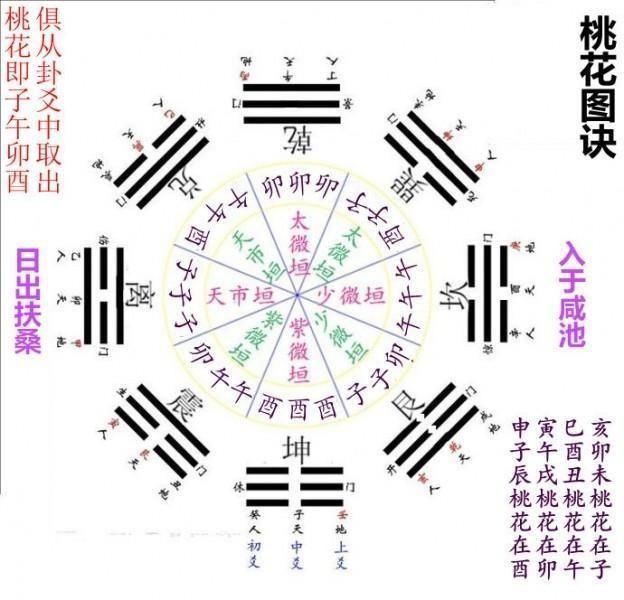 尋找十二生肖買馬最準(zhǔn)的網(wǎng)站——精準(zhǔn)預(yù)測，一網(wǎng)打盡，精準(zhǔn)預(yù)測十二生肖買馬，一網(wǎng)打盡的最佳選擇