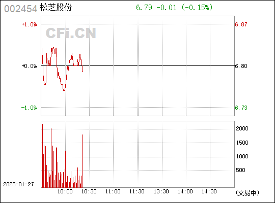 松芝股份，深度解析與前景展望（代碼，002454），松芝股份深度解析與前景展望（股票代碼，002454）