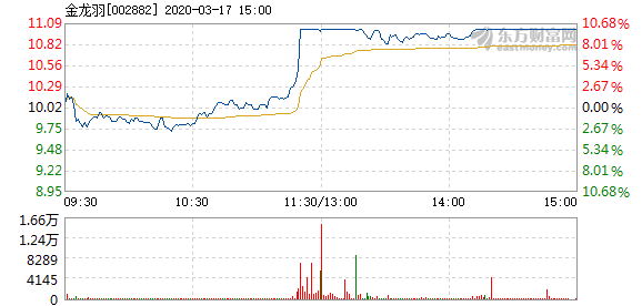 關(guān)于金龍羽股票的全面解析，金龍羽股票全面解析與評估