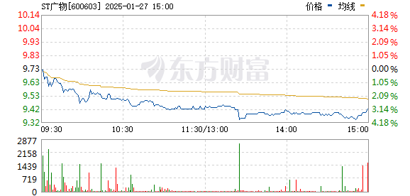 廣匯物流股票，深度解析與前景展望，廣匯物流股票深度解析及未來前景展望