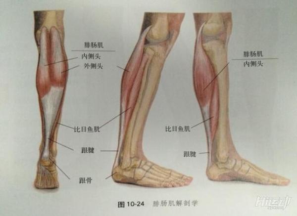 科學(xué)瘦小腿最有效的方法，打造完美腿部線條，科學(xué)瘦小腿秘訣，打造完美腿部線條的有效方法