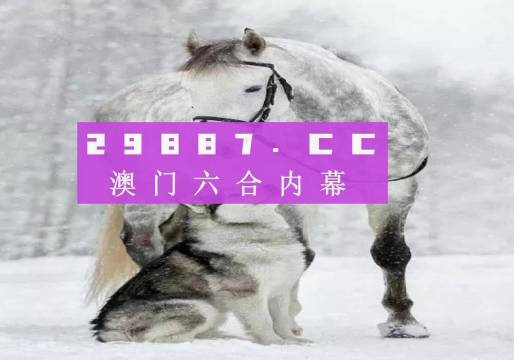 新奧門一肖一馬必中——揭秘彩票背后的秘密與策略，揭秘彩票背后的秘密與策略，新奧門一肖一馬必中技巧探究