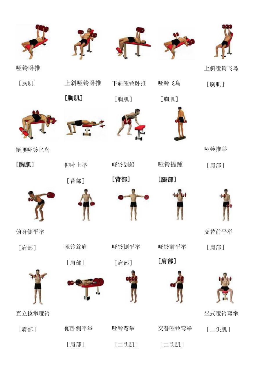 啞鈴各種動(dòng)作大全，提升全身力量的終極指南，啞鈴全方位動(dòng)作指南，全身力量的終極提升秘籍