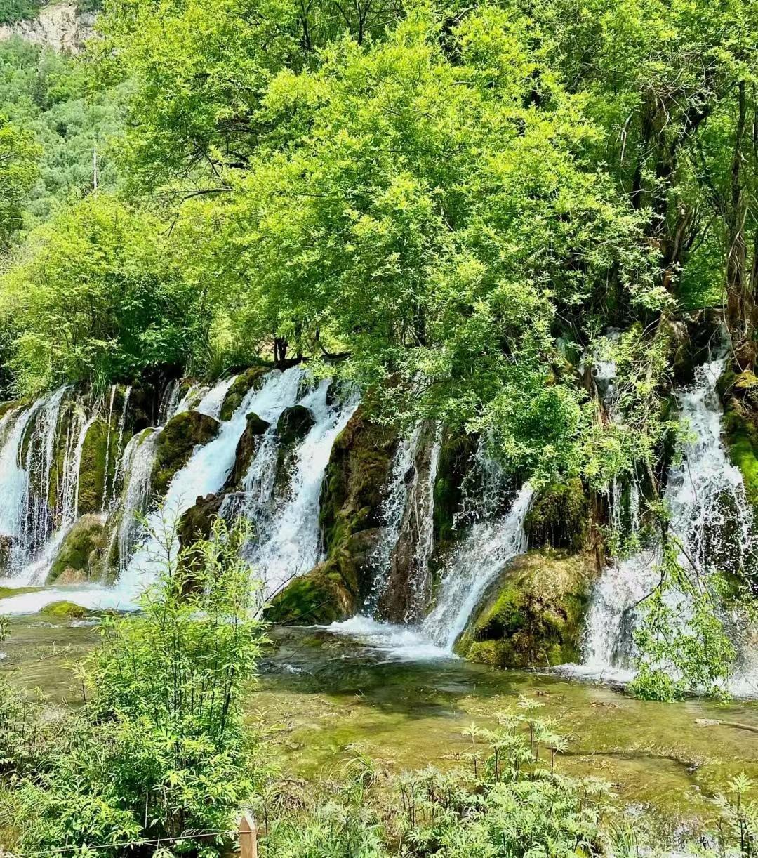 九寨溝報(bào)團(tuán)價(jià)目表，全面解析旅游費(fèi)用及行程安排，九寨溝報(bào)團(tuán)攻略，全面解析旅游費(fèi)用及行程安排，價(jià)目表一覽