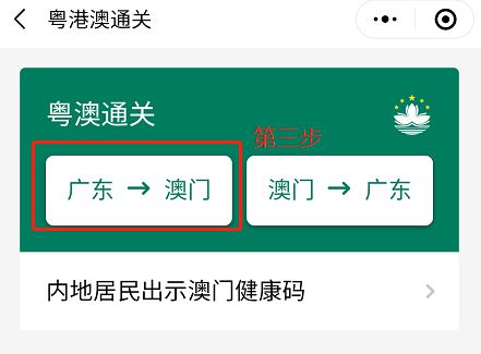 澳門碼資料版本大全，警惕背后的風險與違法犯罪問題，澳門碼資料版本大全，警惕背后的風險與違法犯罪隱患