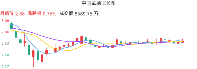 中國(guó)武夷股票行情深度解析，中國(guó)武夷股票行情全面解析