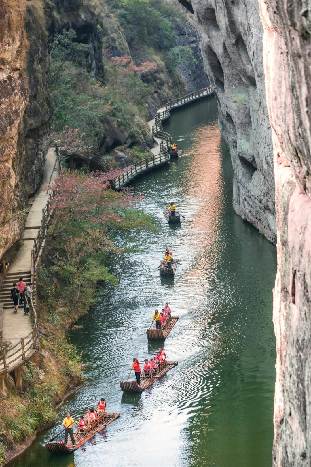 泰寧九龍?zhí)讹L(fēng)景區(qū)，自然之美的獨(dú)特展現(xiàn)，泰寧九龍?zhí)讹L(fēng)景區(qū)，自然之美的獨(dú)特展現(xiàn)之地