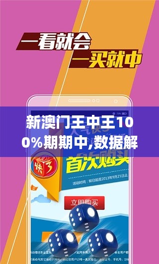 王中王一字拆一肖百度——探尋背后的奧秘，王中王一字拆一肖百度，探尋背后的神秘面紗