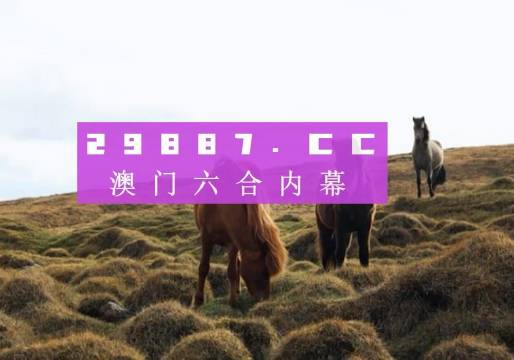 新澳門開獎(jiǎng)結(jié)果2025開獎(jiǎng)記錄詳解，澳門開獎(jiǎng)結(jié)果及最新開獎(jiǎng)記錄深度解析