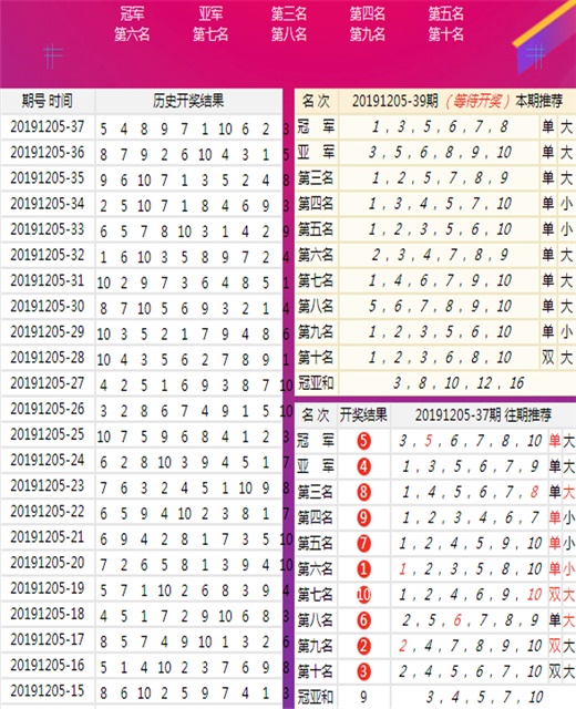 王中王回不象必出一肖——深度解析與探索，王中王回不象必出一肖，深度解讀與探索