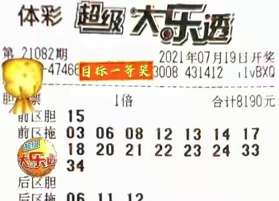 王中王082期指一生肖，深度解析與SEO優(yōu)化策略，王中王082期生肖深度解析與SEO優(yōu)化策略探討