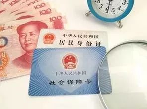 白姐王中王六肖選一肖，揭秘背后的秘密與策略，揭秘白姐王中王六肖選一肖背后的秘密與策略之道